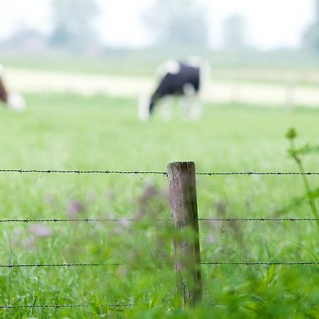 B & B De Lorijn Duiven Exteriér fotografie