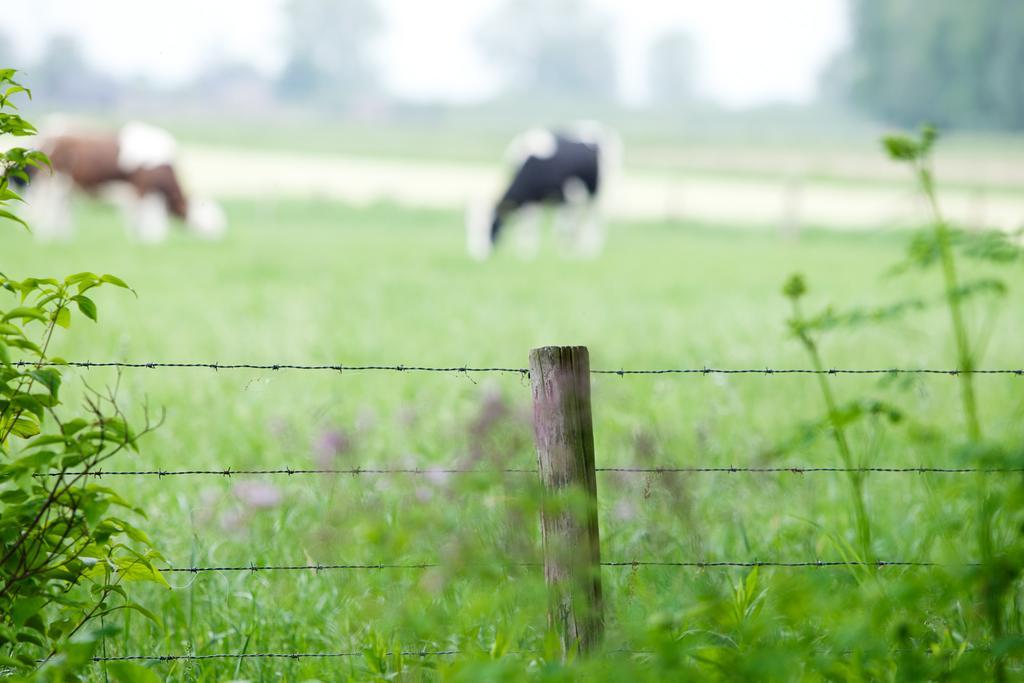 B & B De Lorijn Duiven Exteriér fotografie